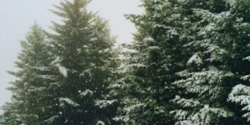 Parents of under-fives and pregnant women reminded of flu eligibility as hospitalisations rise